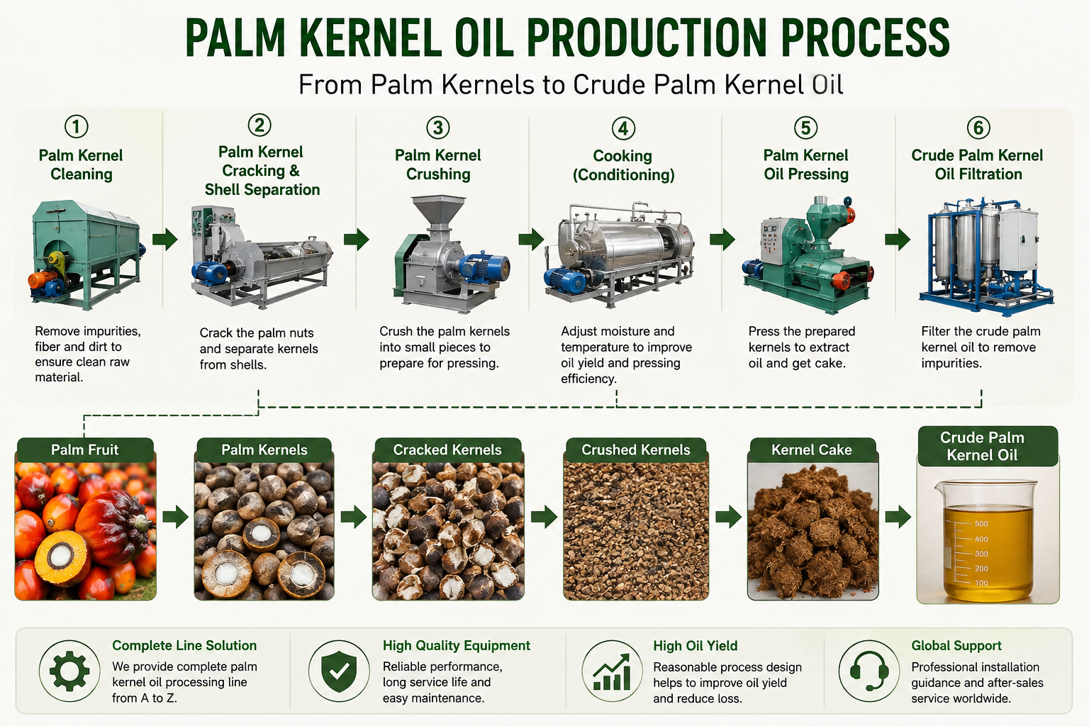 How to Start a Palm Kernel Oil Processing Plant? A Complete Guide for Investors