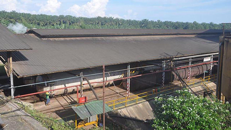 Palm Oil Mills Without Plantations Could Undermine Indonesia's EUDR Compliance, Researcher Warns