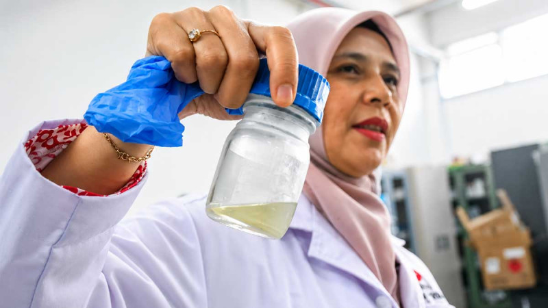 BRIN Develops Pyrolysis Technology to Turn Oil Palm Empty Fruit Bunches into Renewable Energy
